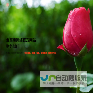 金掌惠网络