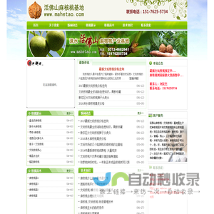 文玩核桃,麻核桃基地,麻核桃树苗,麻核桃嫁接_涞水活佛山文玩核桃网